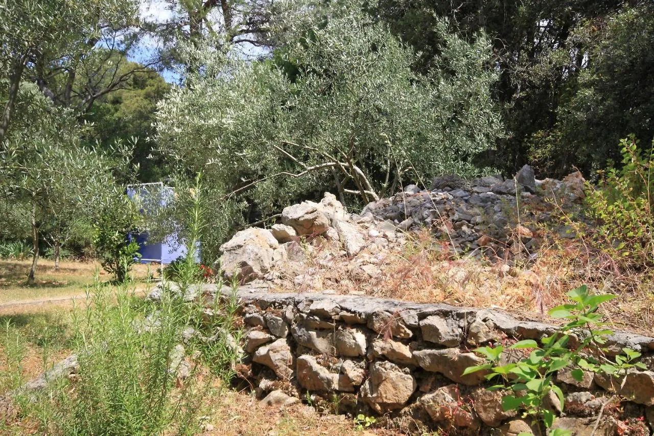 Studio Artatore 8007A Apartman Cunski